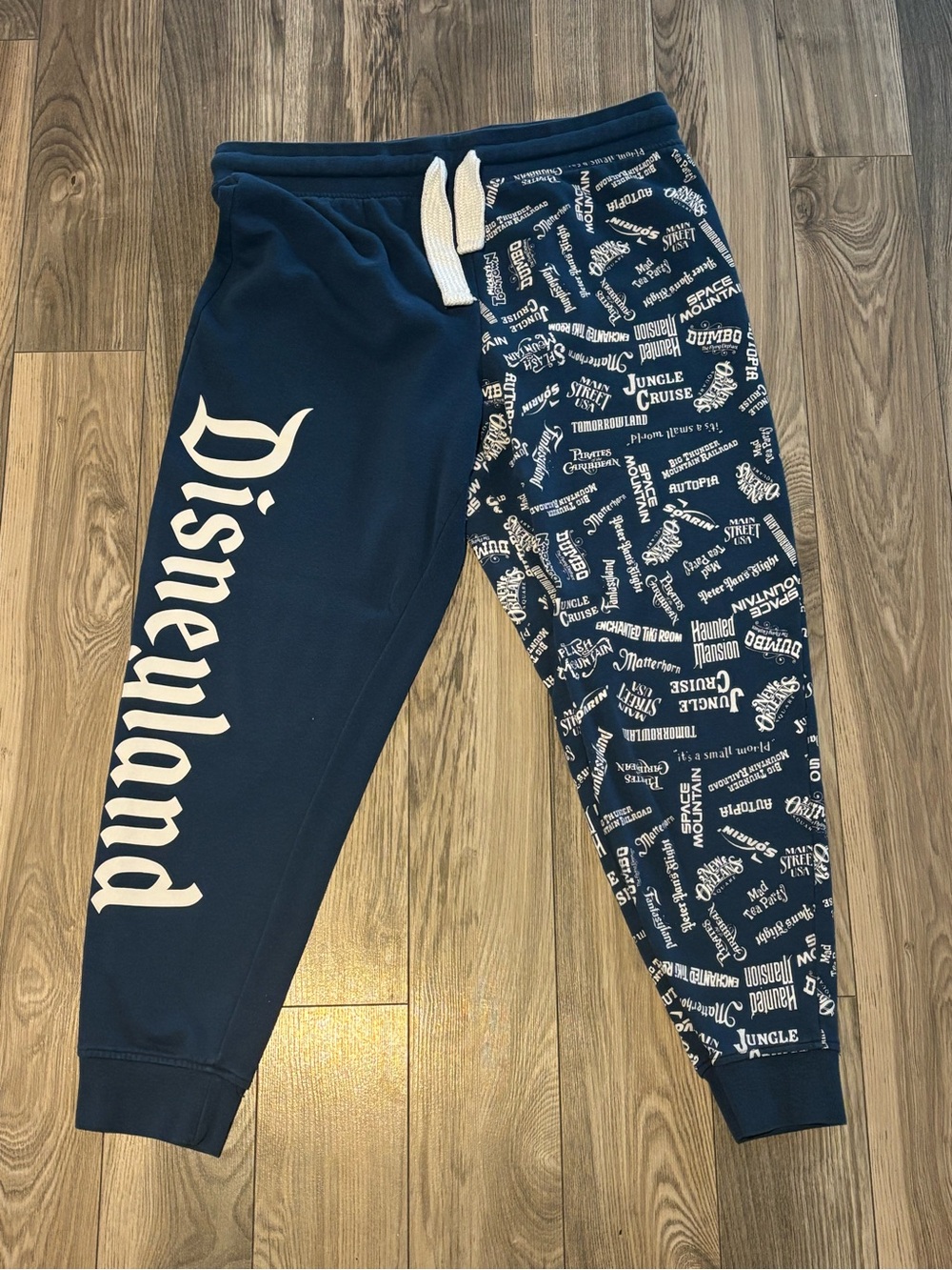 Disney Navy Blue Two-Tone Jogger Sweatpants with Park-Print